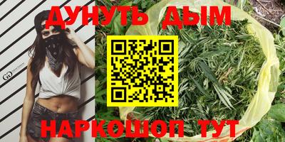 индика Будённовск