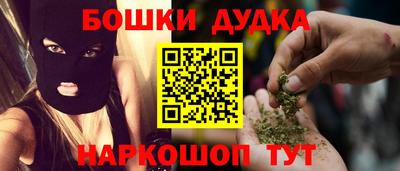 индика Будённовск
